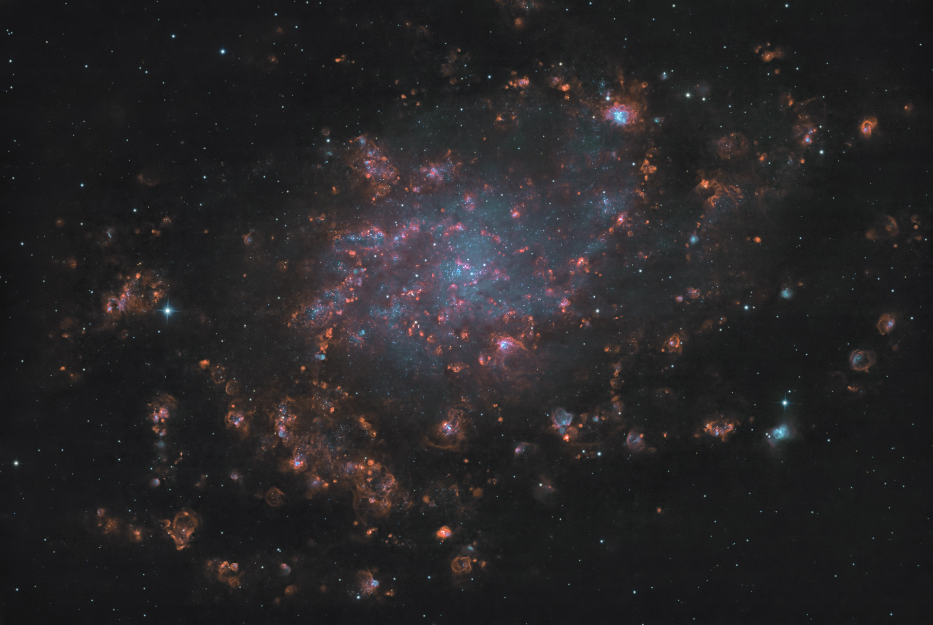 m33(5).jpg