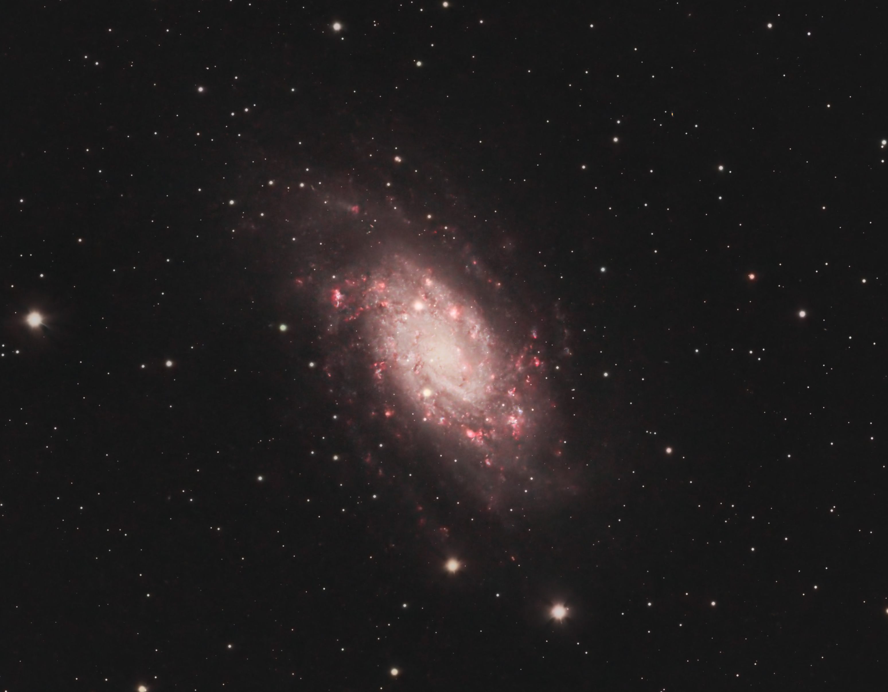 NGC2403LRGBha_RC8copy.jpg