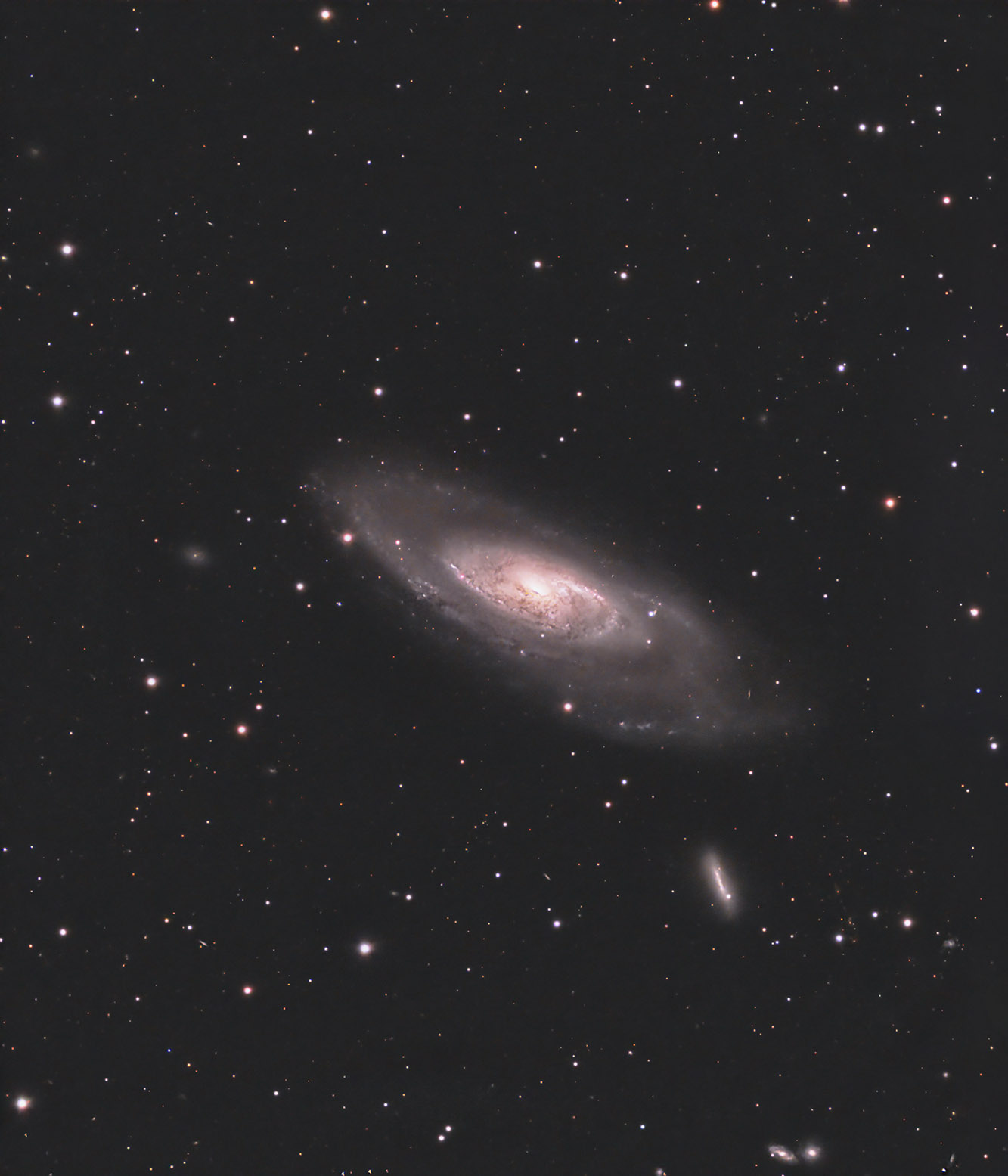 M106 copy.jpg