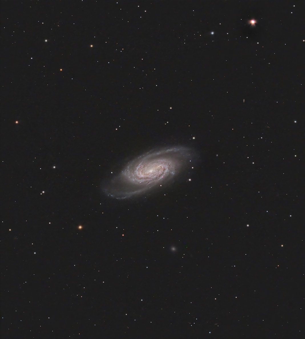 NGC2903 copy.jpg