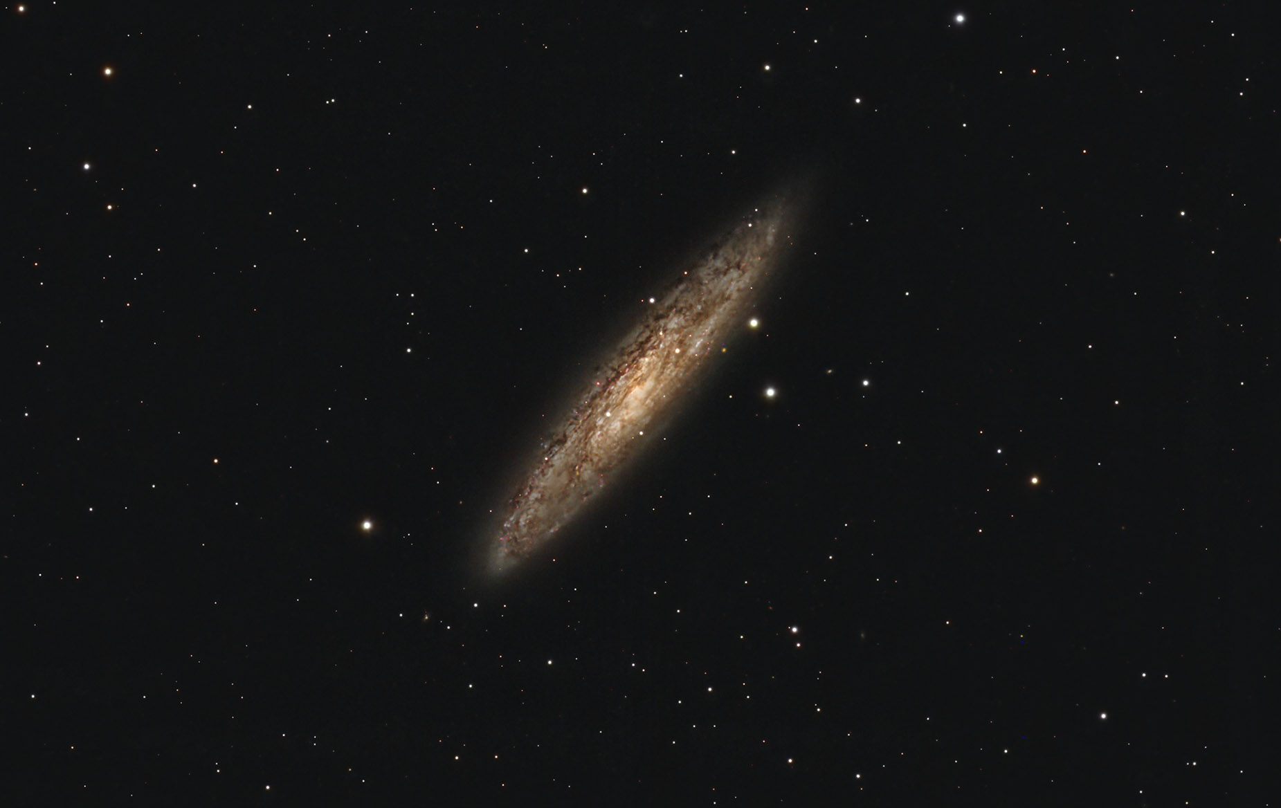 NGC253 copy.jpg