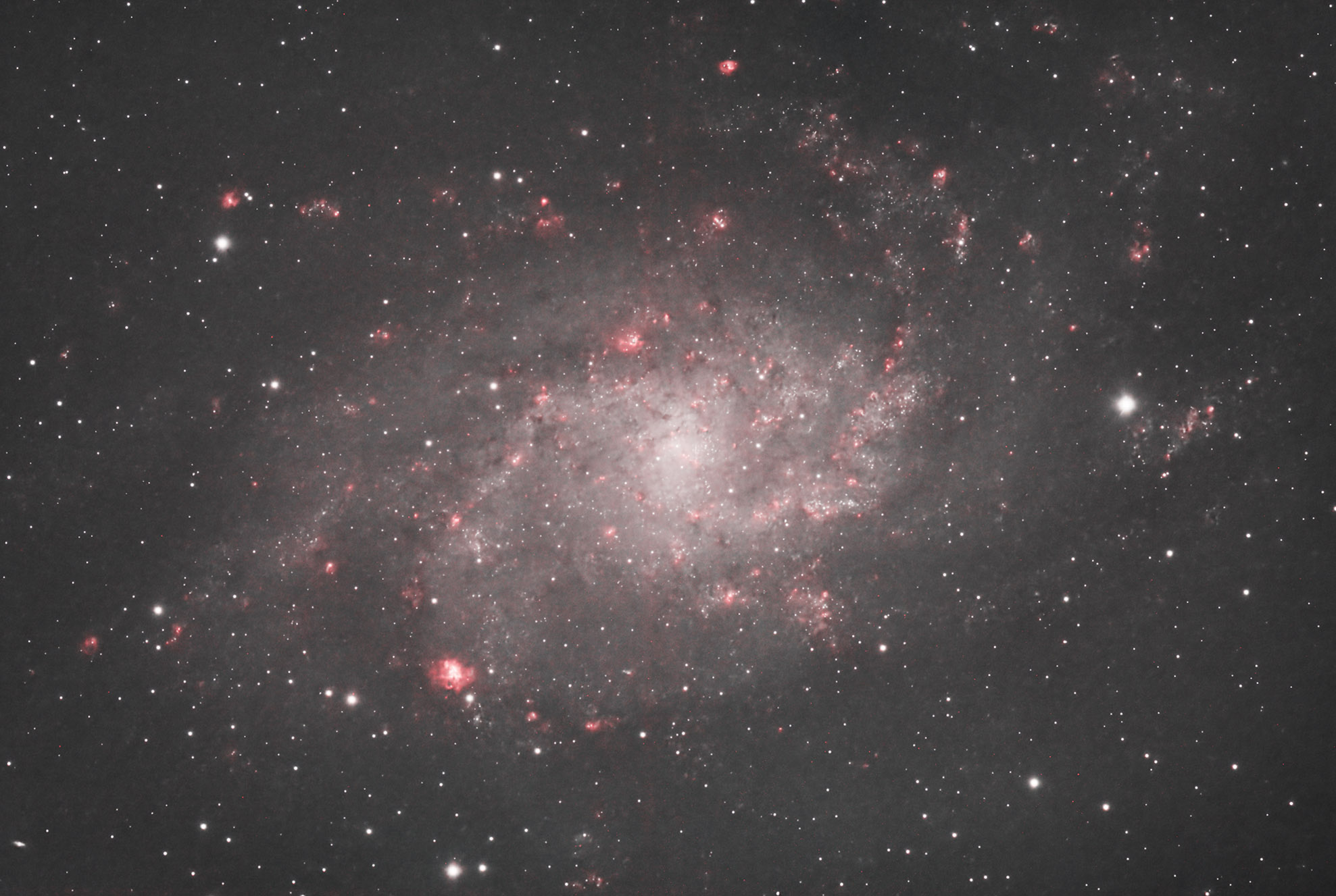 M33 copy.jpg