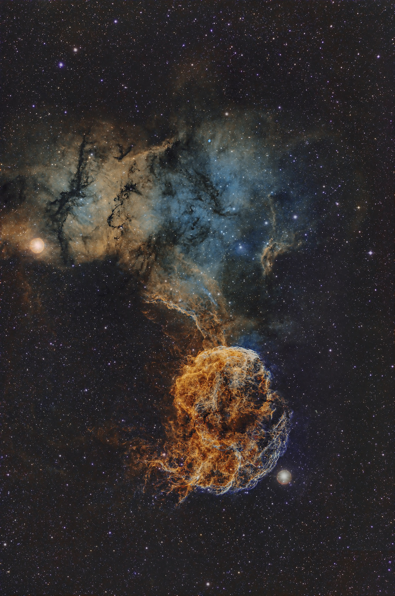 iC443_SHO copy.jpg