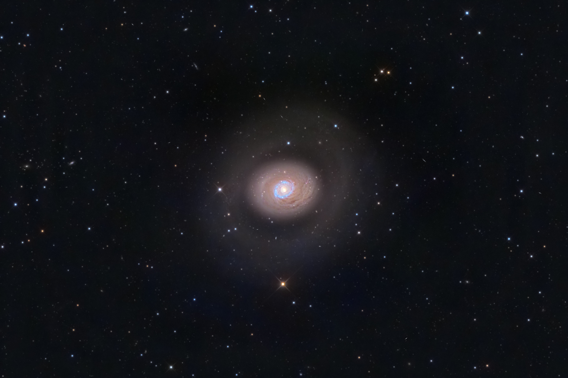 m94(3).jpg