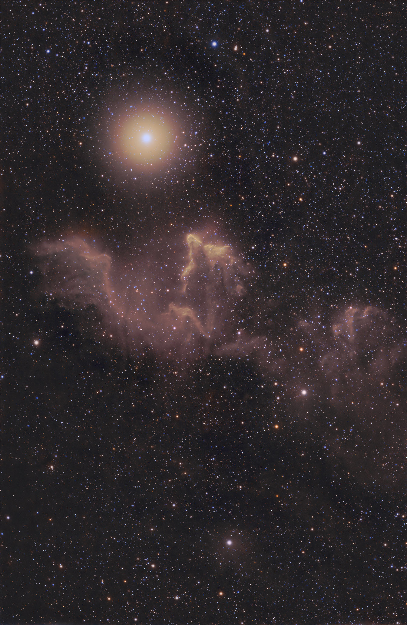 iC63_SHO copy.jpg