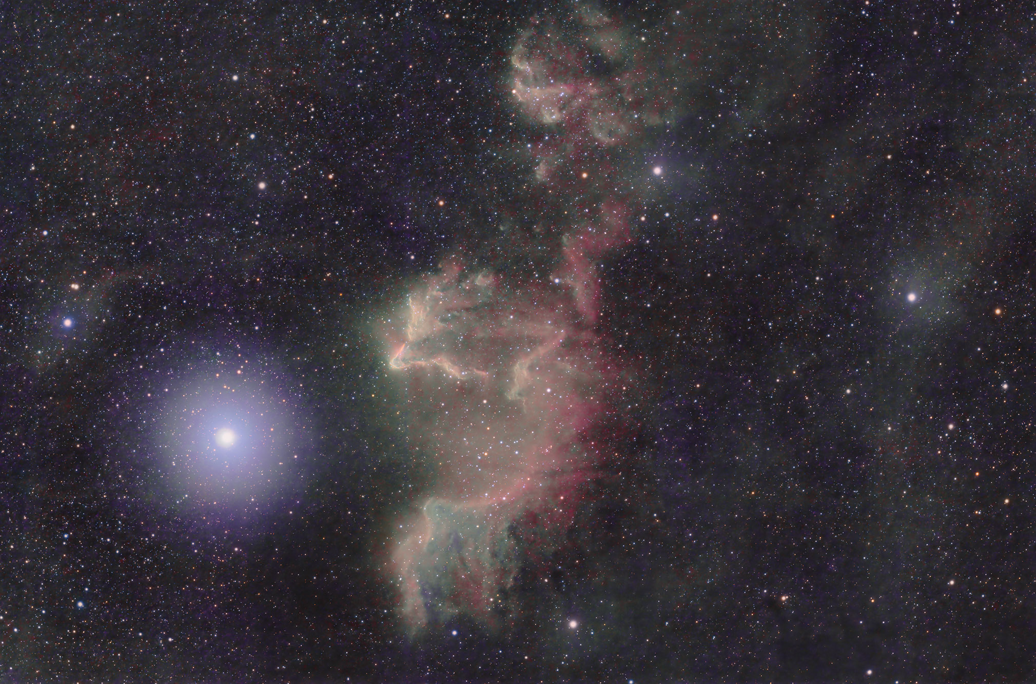 iC63_SHO copy.jpg