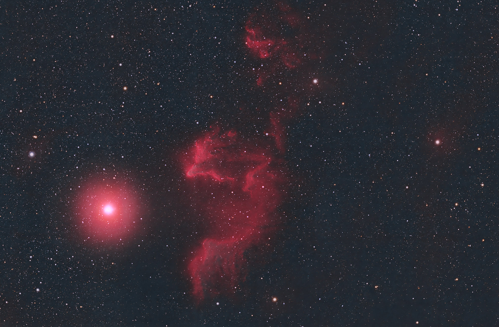 iC63_HOO copy.jpg