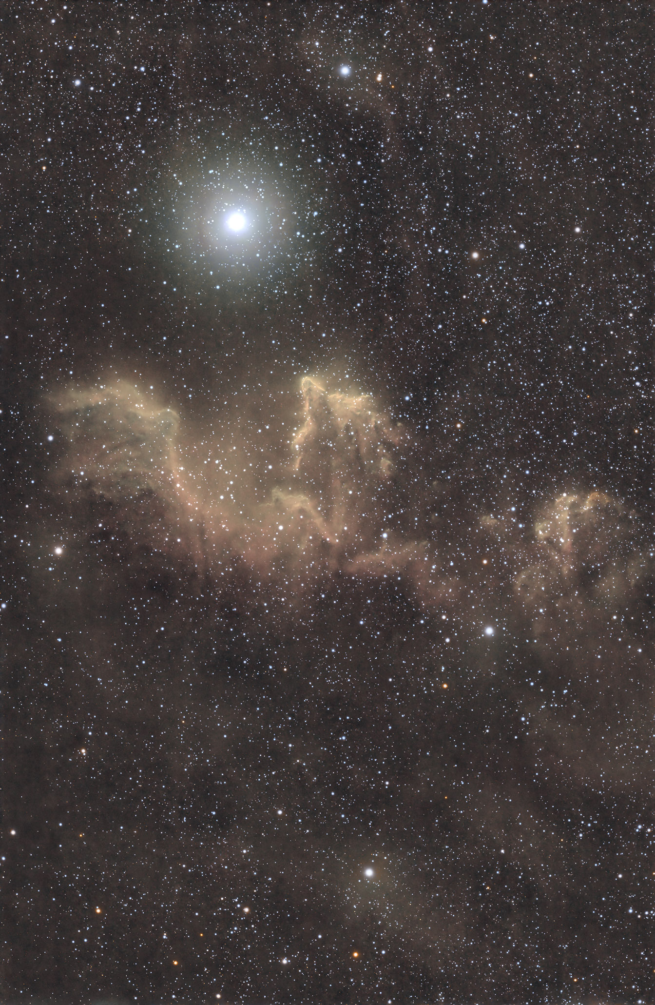 iC63_SHO copy.jpg