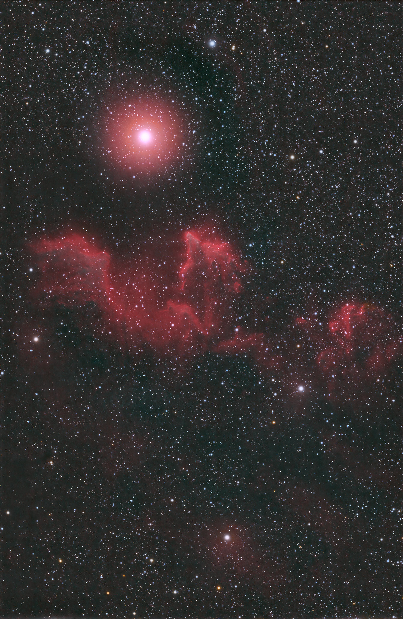 iC63_HOO copy.jpg