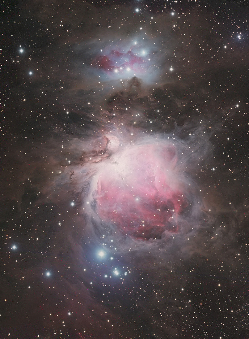 Crop_resized800.jpg