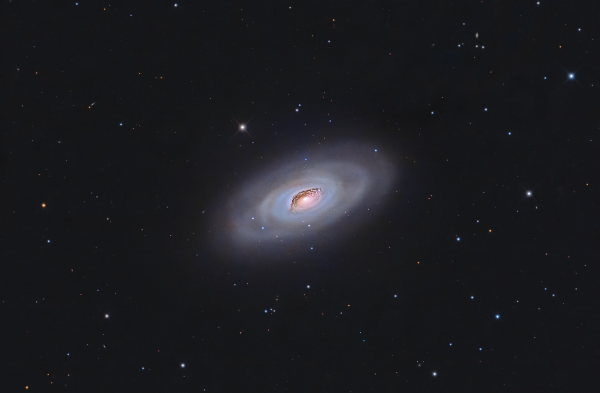 m64(2-re).jpg
