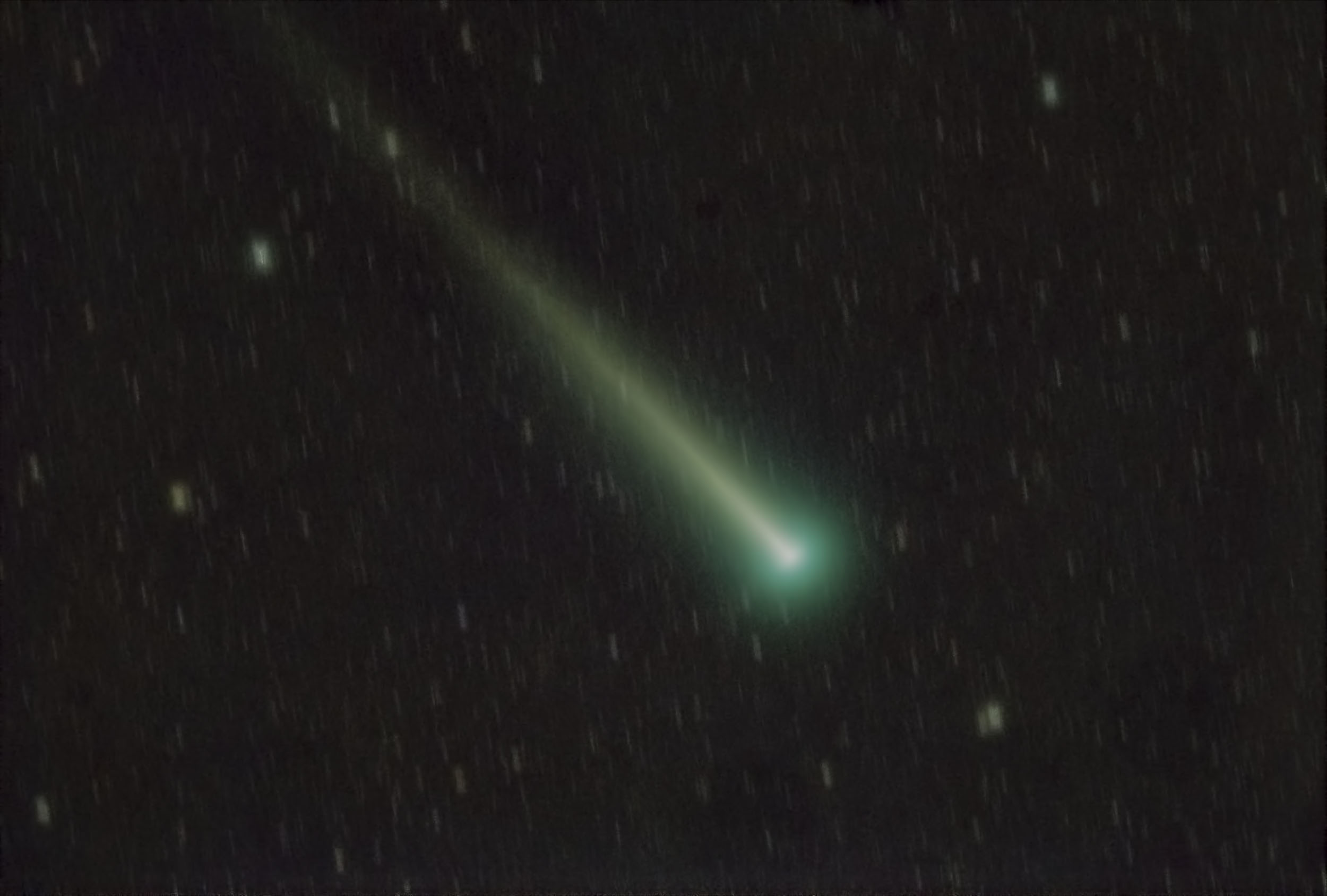 C-2021 A1_01.jpg