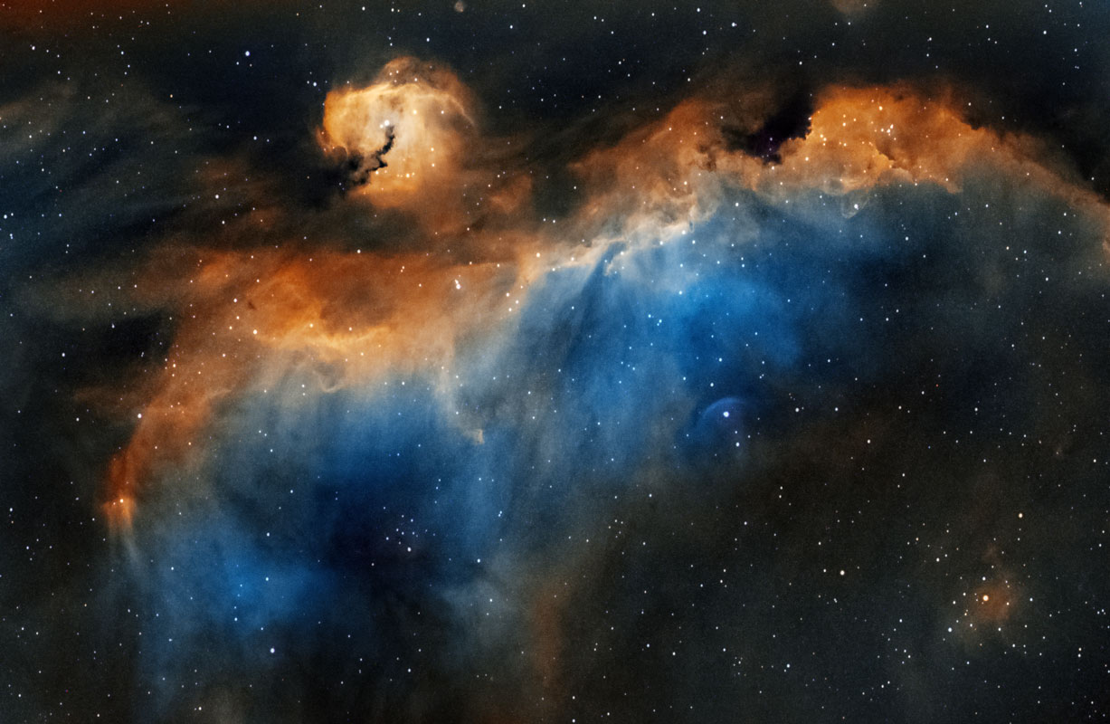 IC2177_INT_PS_1.jpg