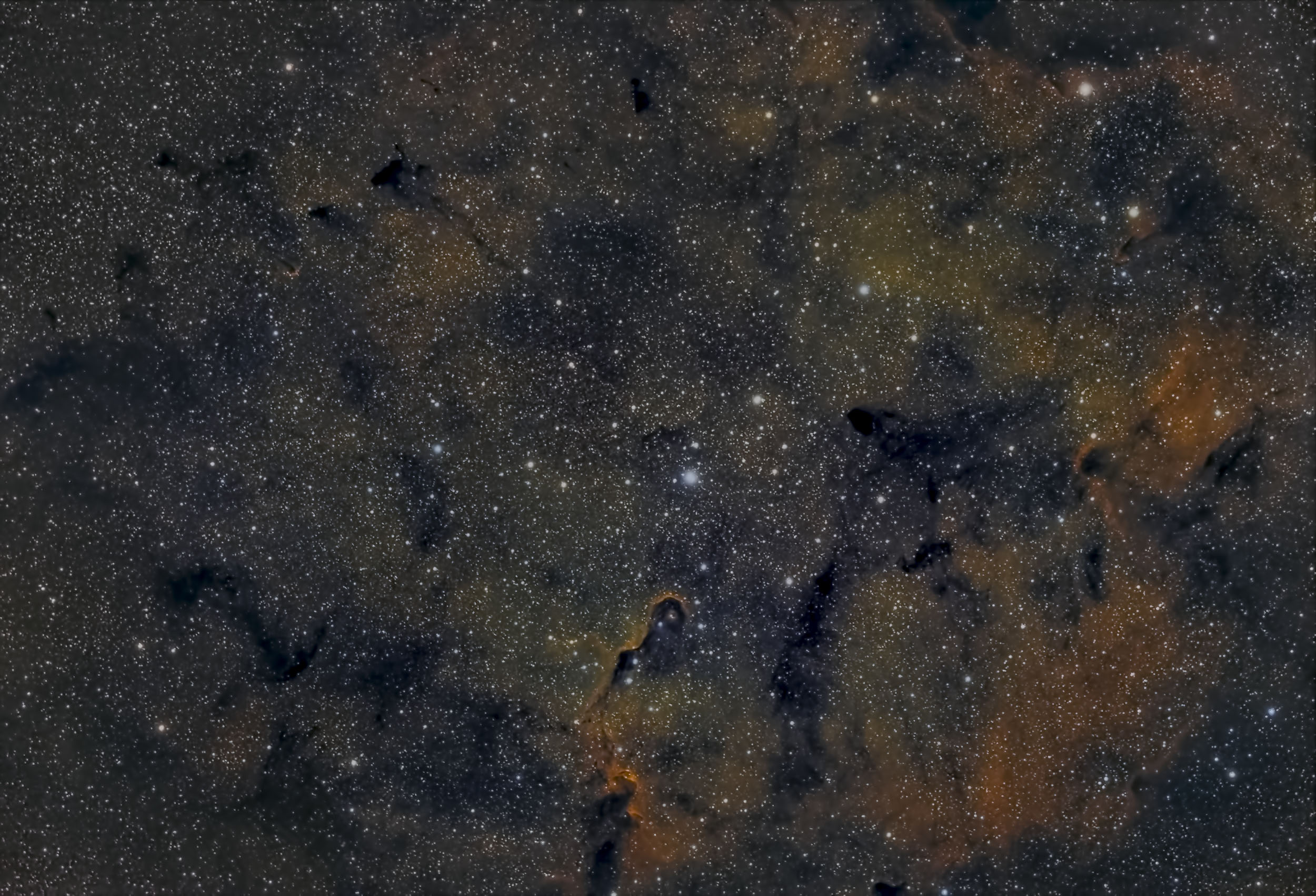 iC1396_1.jpg