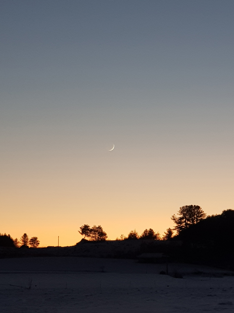 20201216_174042-2.jpg