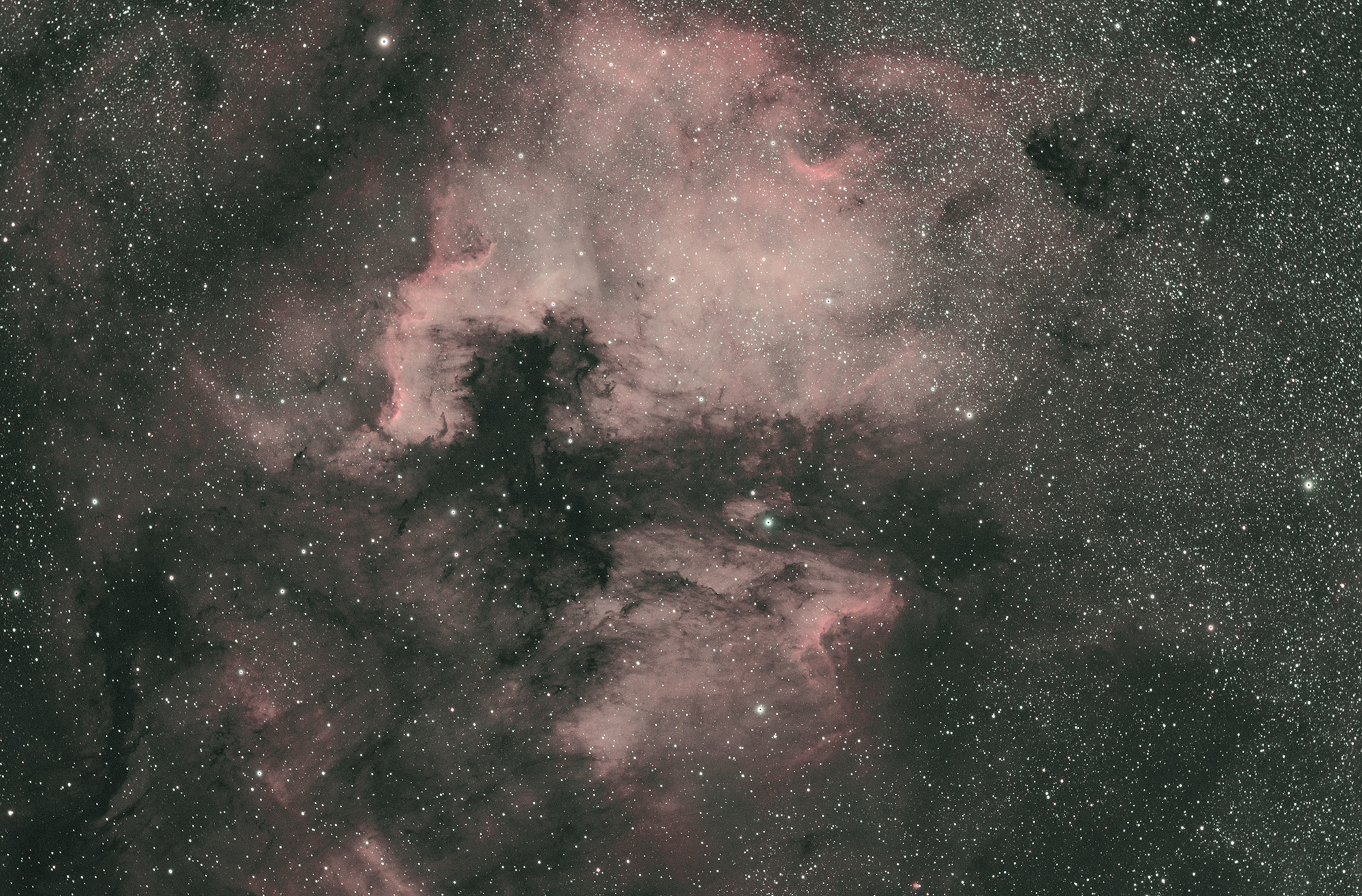 ngc7000_220827_S61_Z2600MC_100-300dss20-005cw.jpg