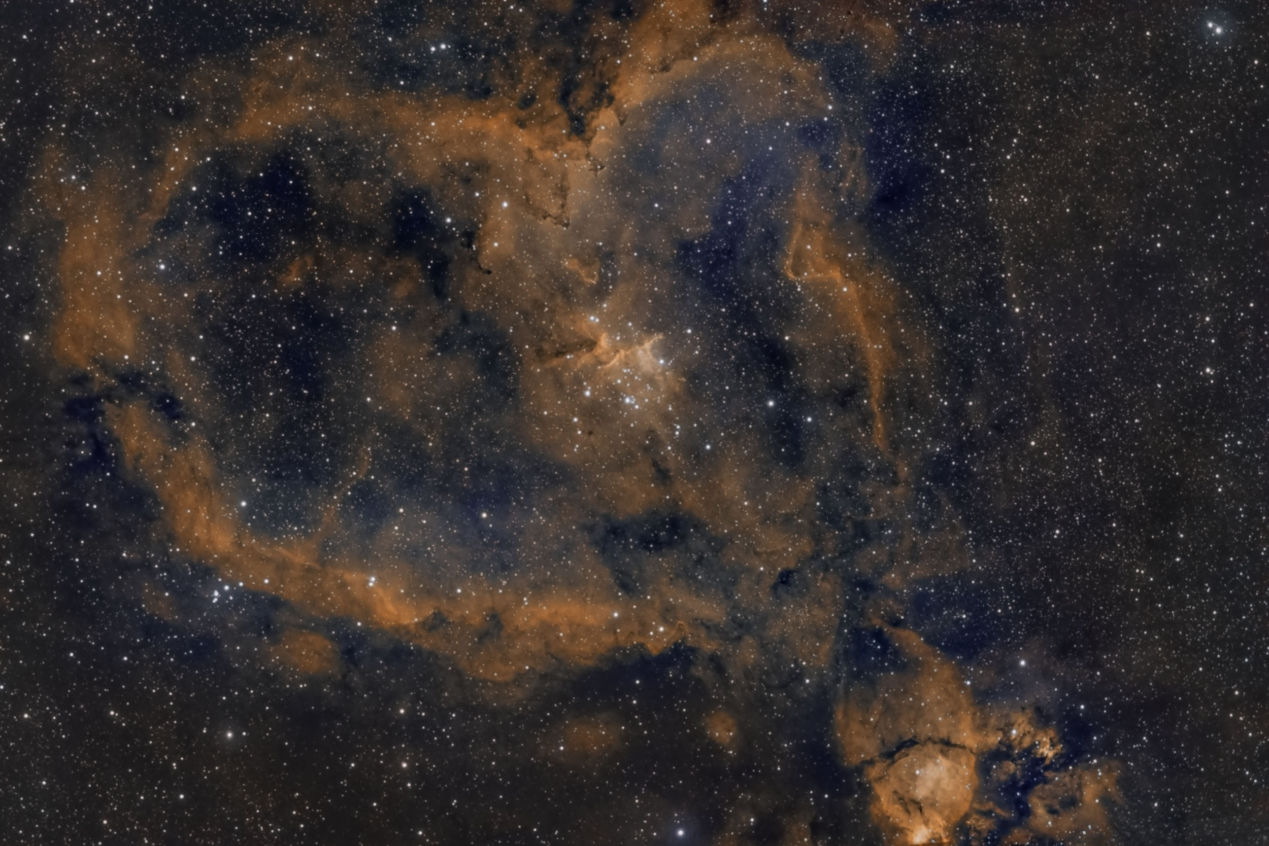 IC1805_01.jpg