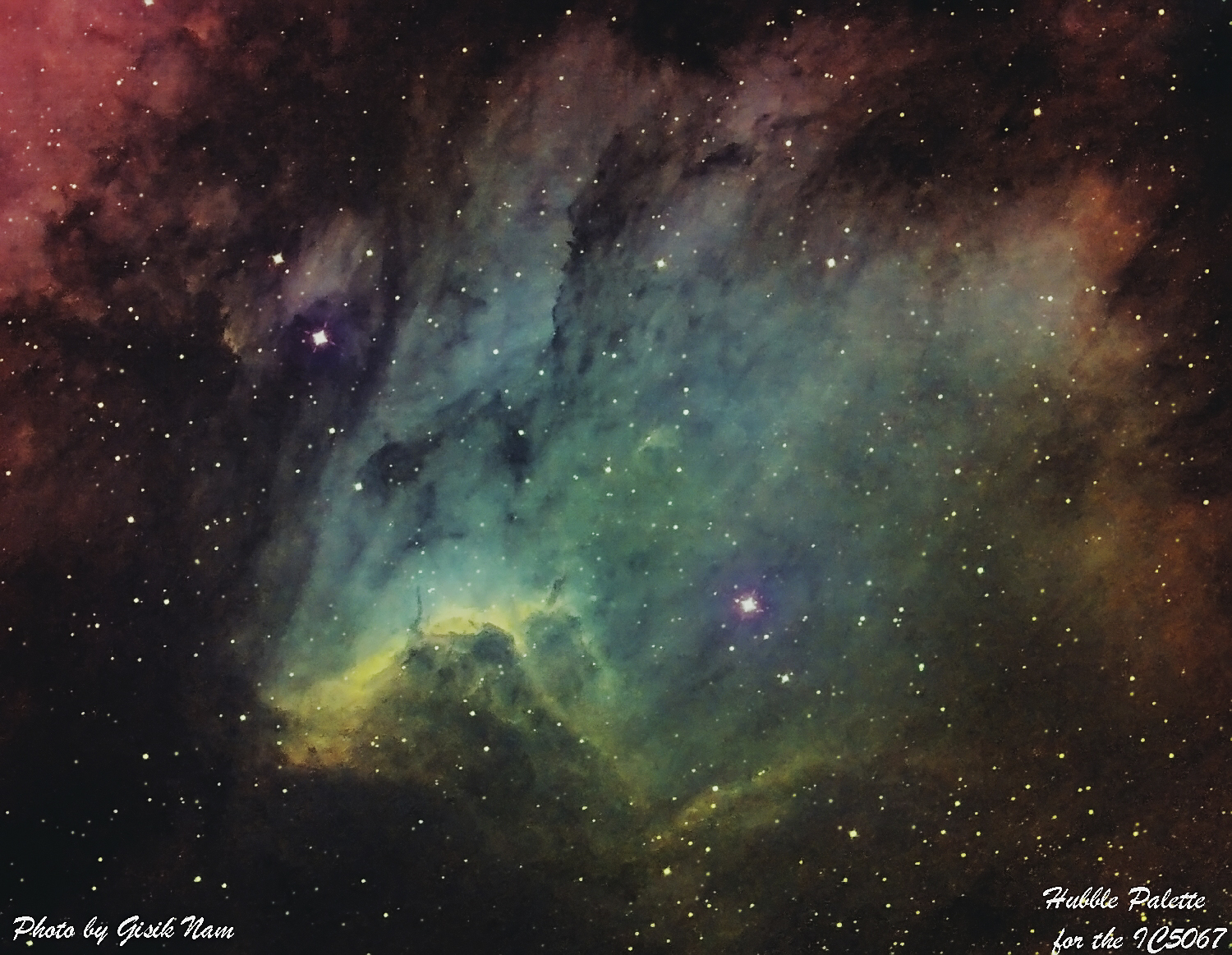 hubble_ic5067.jpg : 펠리칸(IC5067) 뒷 목덜미