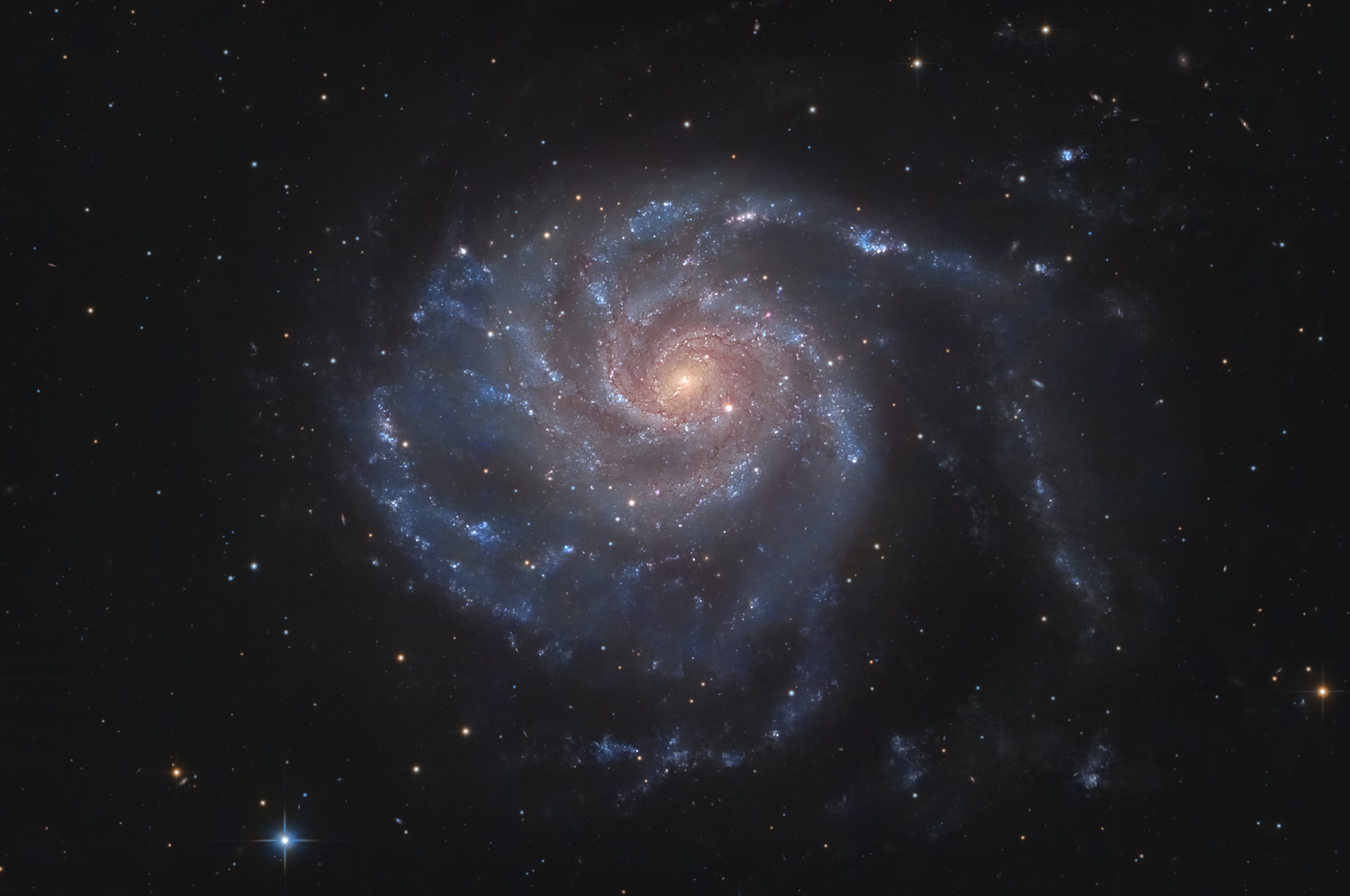 m101(6).jpg