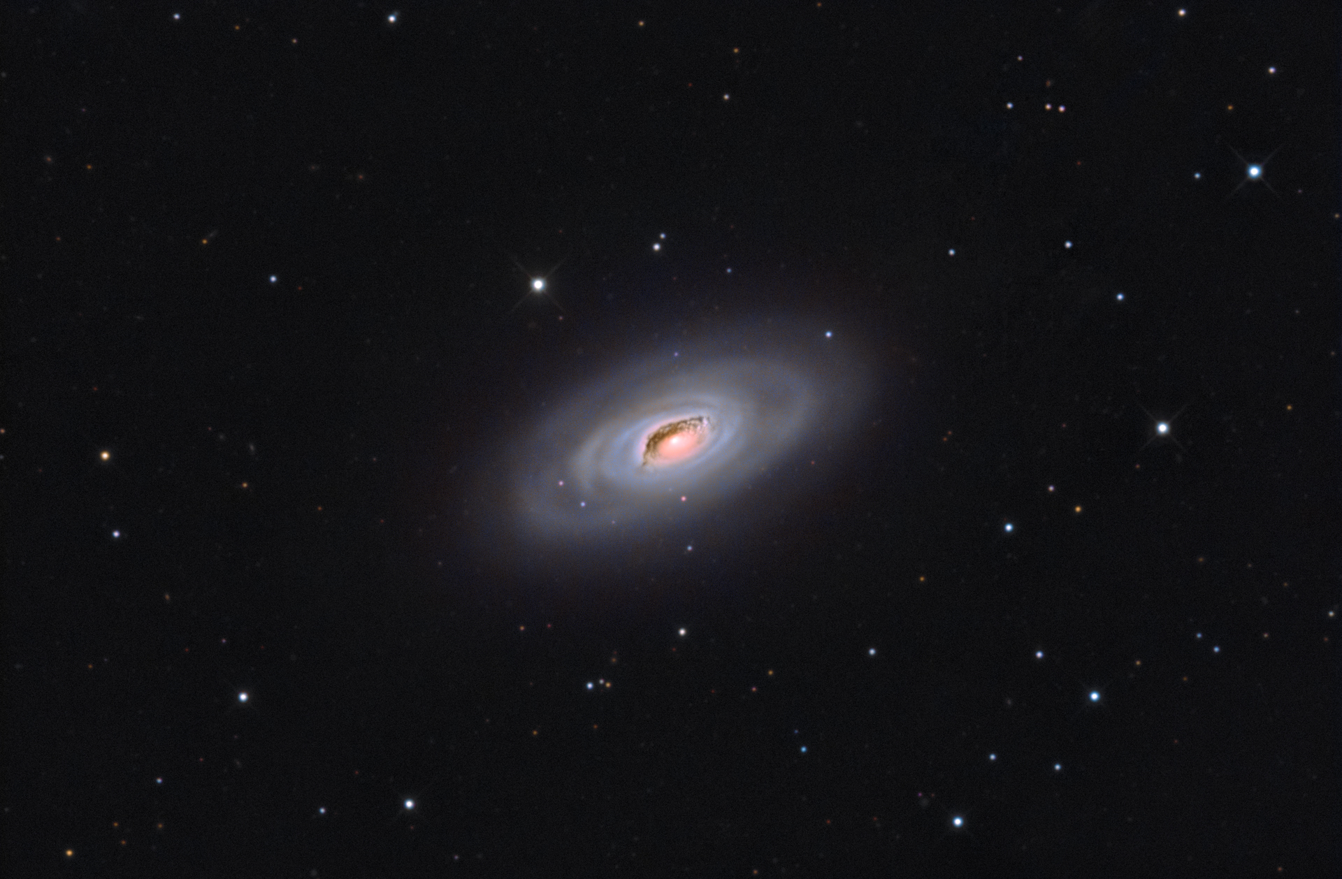 m64(2).jpg