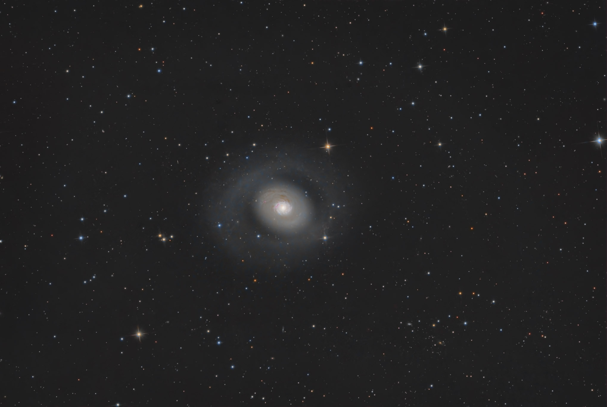 M94 copy.jpg